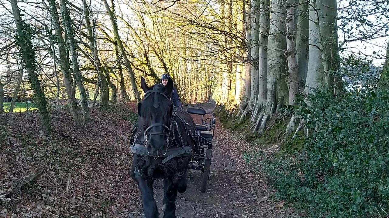 Eco-Gite La Chambre Du Vanneur Mentheville Eksteriør bilde